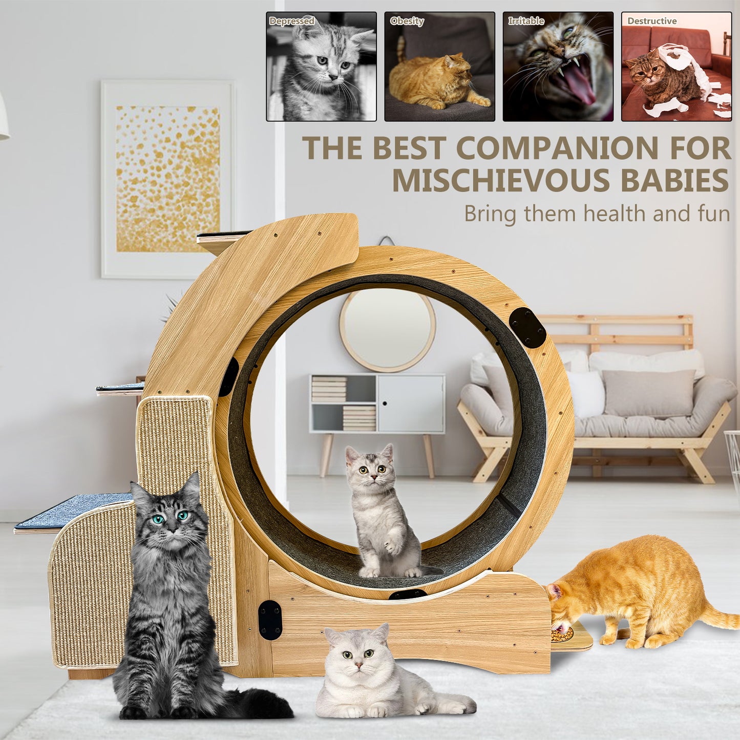 Large 5-in-1 Wooden Cat Activity Center with Exercise Wheel
