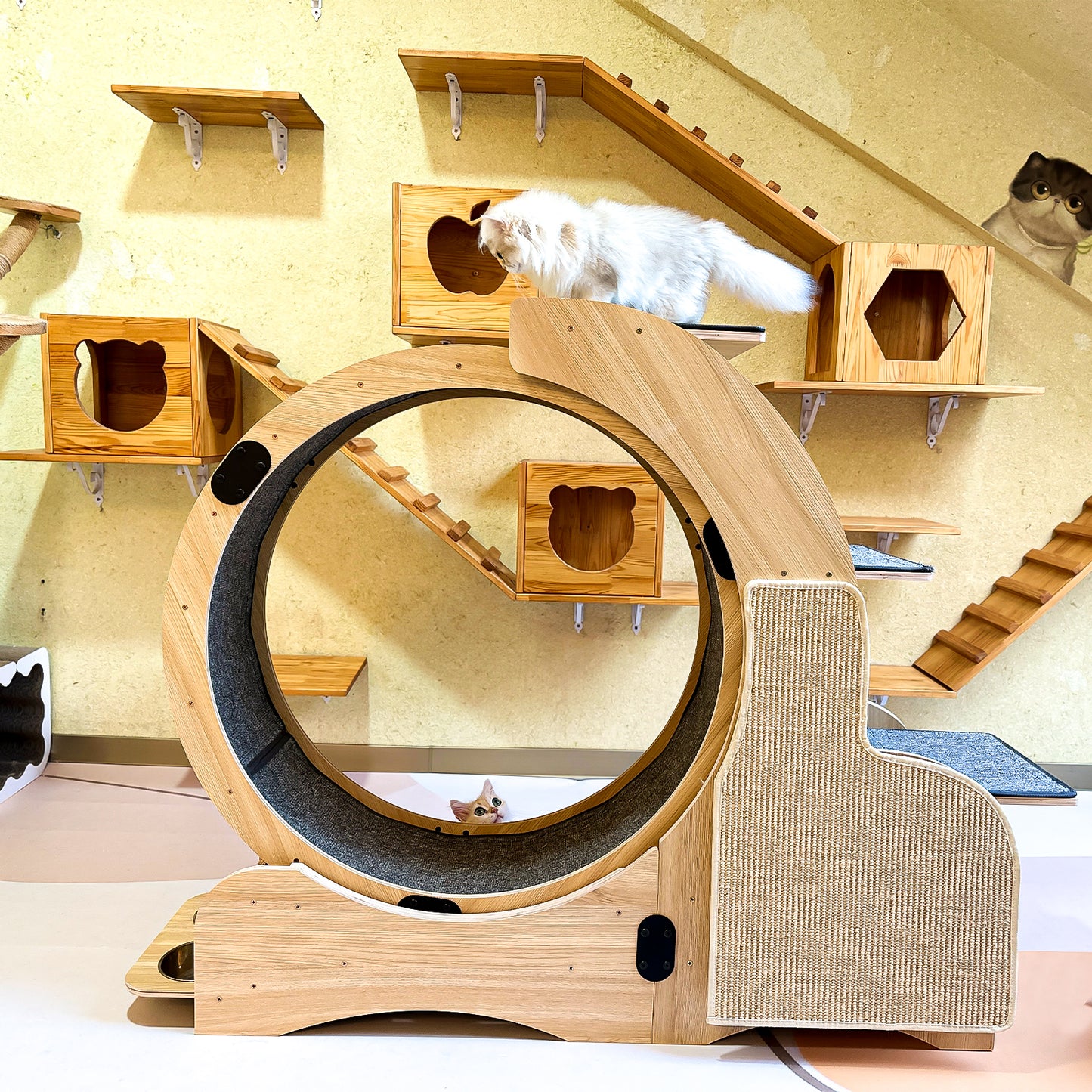 Large 5-in-1 Wooden Cat Activity Center with Exercise Wheel